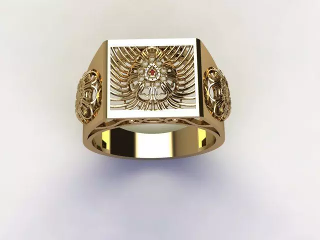 REGIONAL UNISEX RING 3D print model