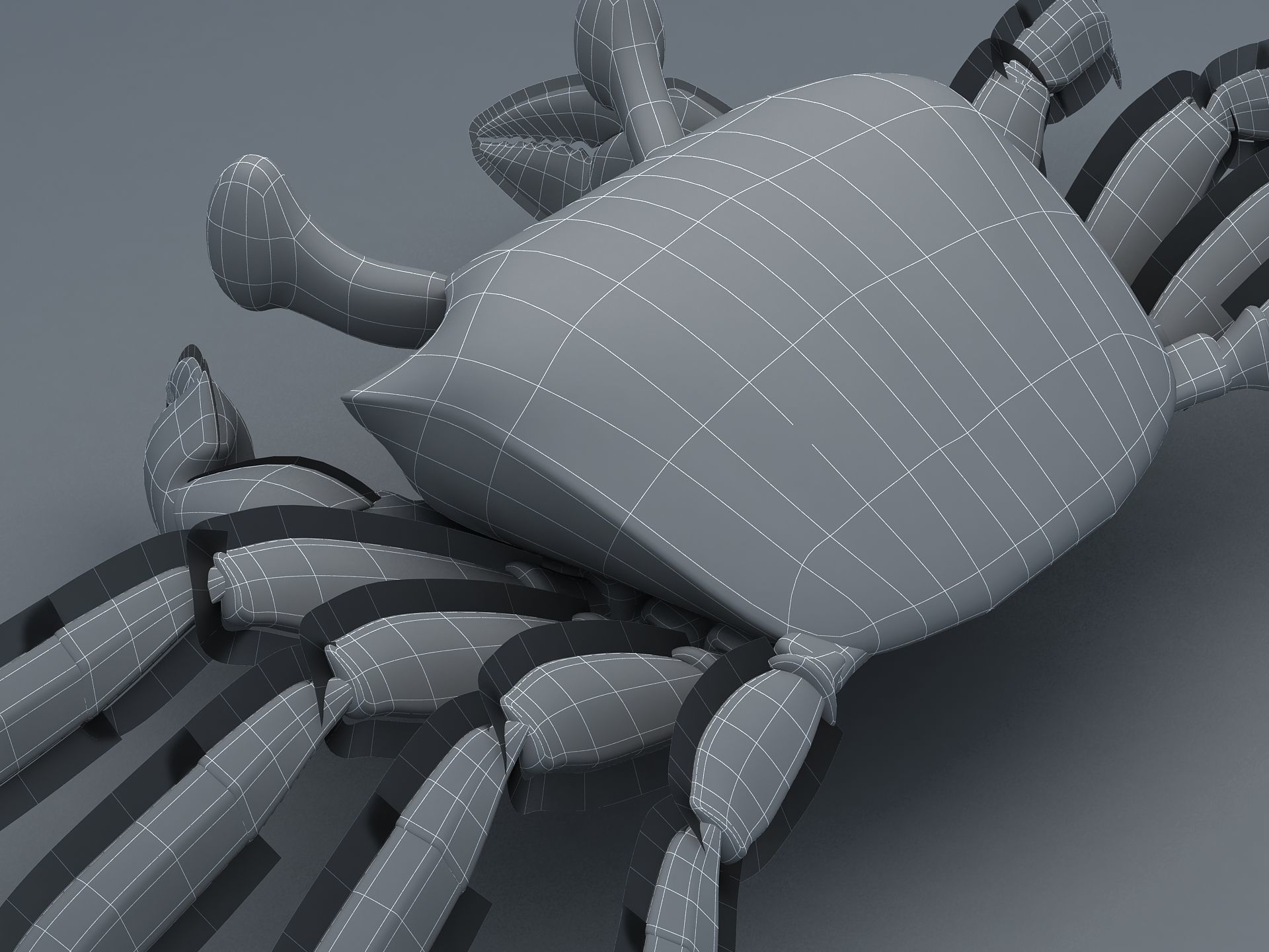 Ocypode stimpsoni Ghost Crab Low-poly 3D model_19