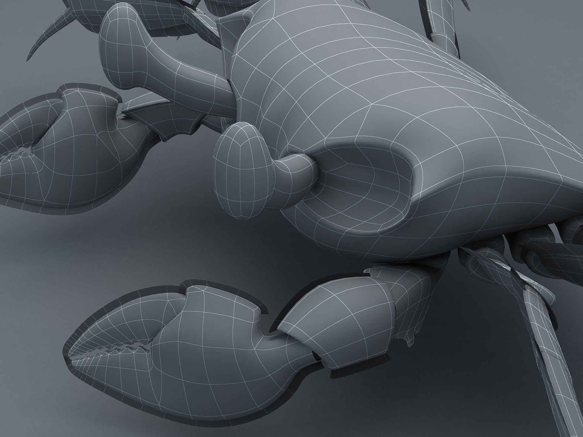 Ocypode stimpsoni Ghost Crab Low-poly 3D model_18