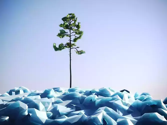 Low Poly Tree Stylish Pinetree