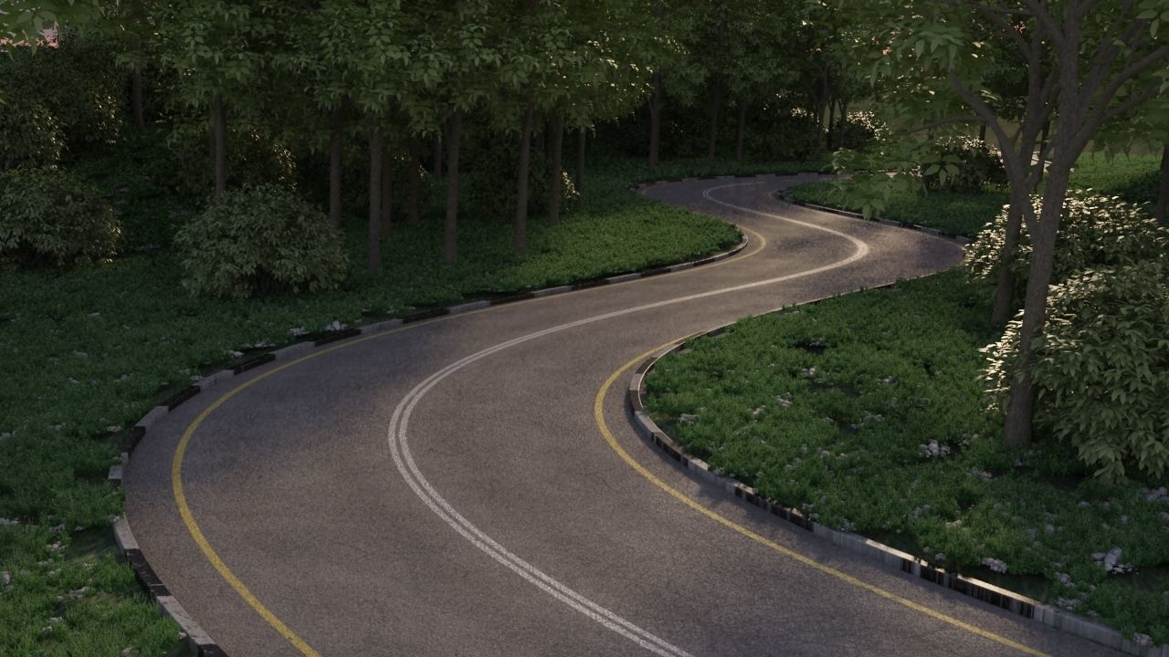 Realistic road winding in forest 3D model_8