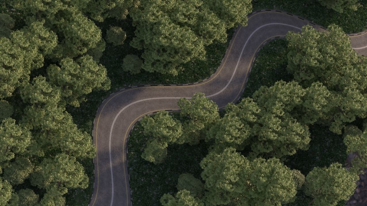 Realistic road winding in forest 3D model_6