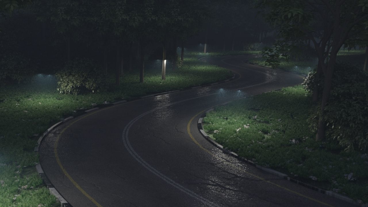 Realistic road winding in forest 3D model_3