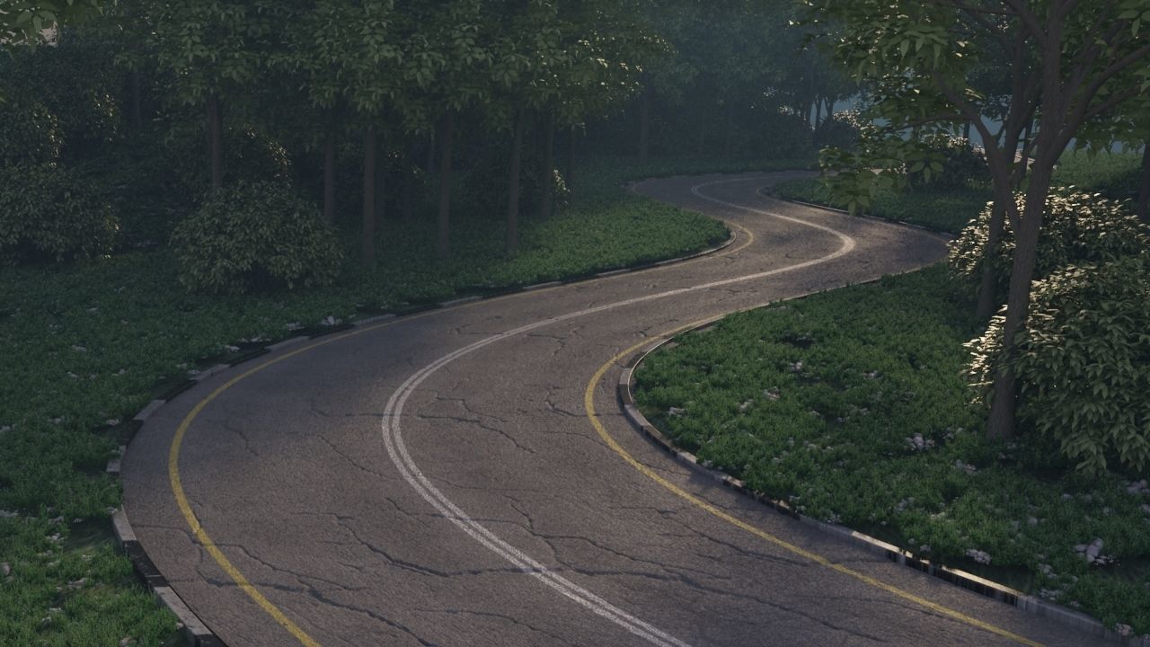 Realistic road winding in forest 3D model_2