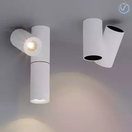 Ceiling Lamps CENTRSVET 5