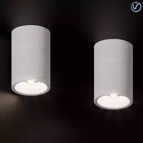 Ceiling Lamps CENTRSVET 12