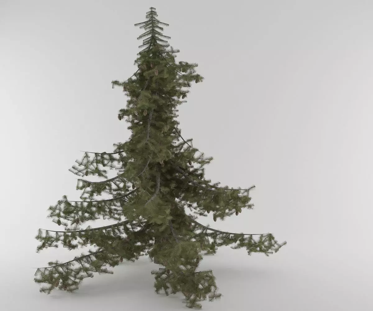 Pine Tree Pack 5 models 3D model_0
