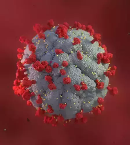 Corona virus scene  3D model