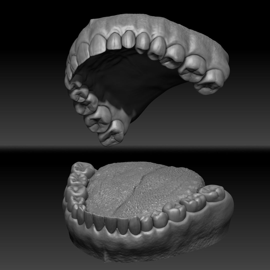 Realistic Woman - Female Body - Ultra High Detail Zbrush Sculpt 3D model_5