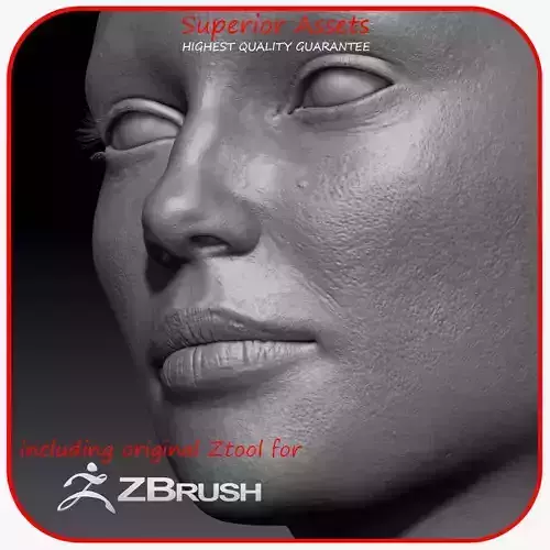 Realistic Woman - Female Body - Ultra High Detail Zbrush Sculpt 3D model