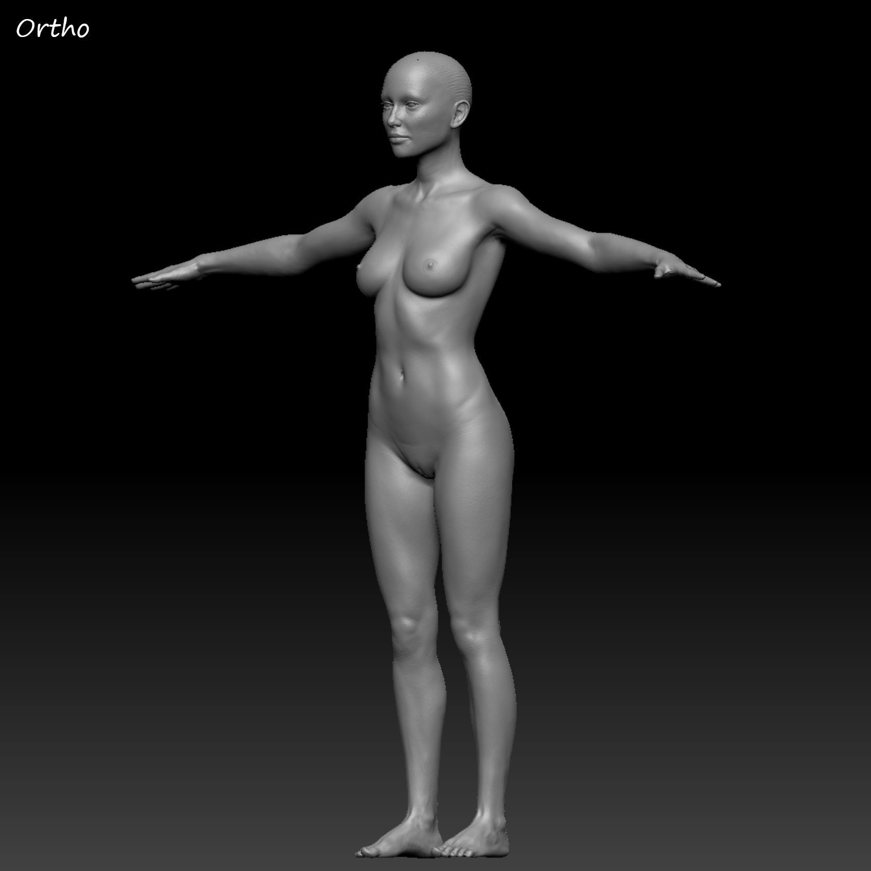 Realistic Woman - Female Body - Ultra High Detail Zbrush Sculpt 3D model_31