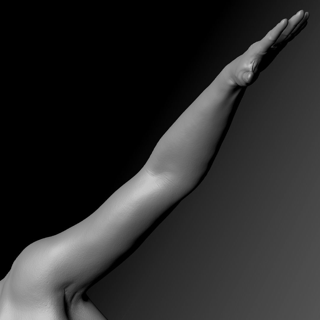 Realistic Woman - Female Body - Ultra High Detail Zbrush Sculpt 3D model_17