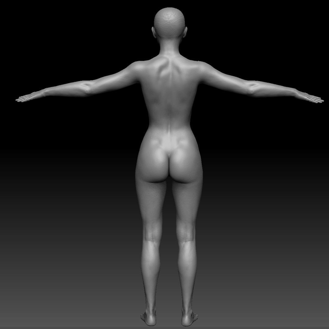 Realistic Woman - Female Body - Ultra High Detail Zbrush Sculpt 3D model_25