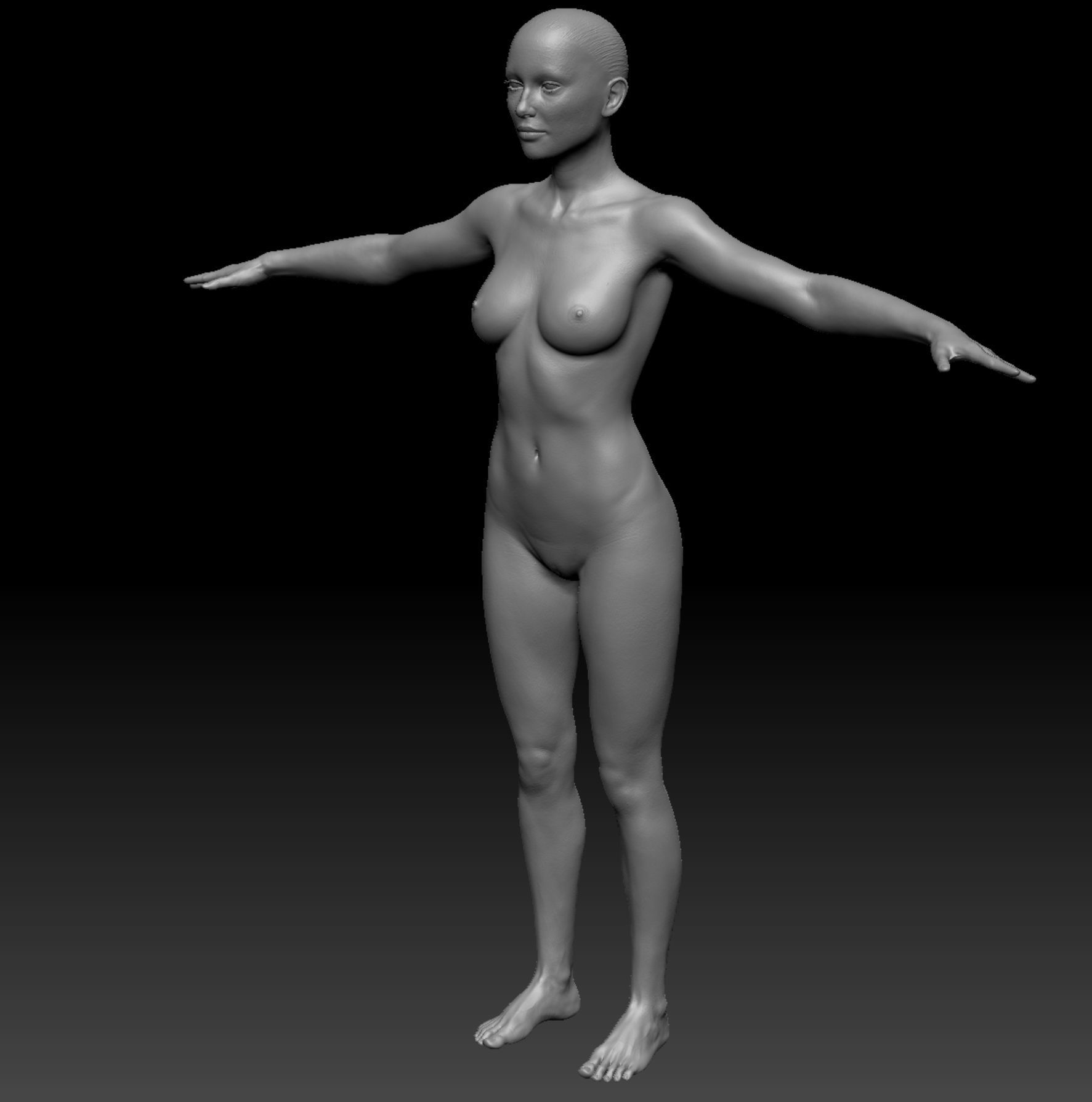 Realistic Woman - Female Body - Ultra High Detail Zbrush Sculpt 3D model_2
