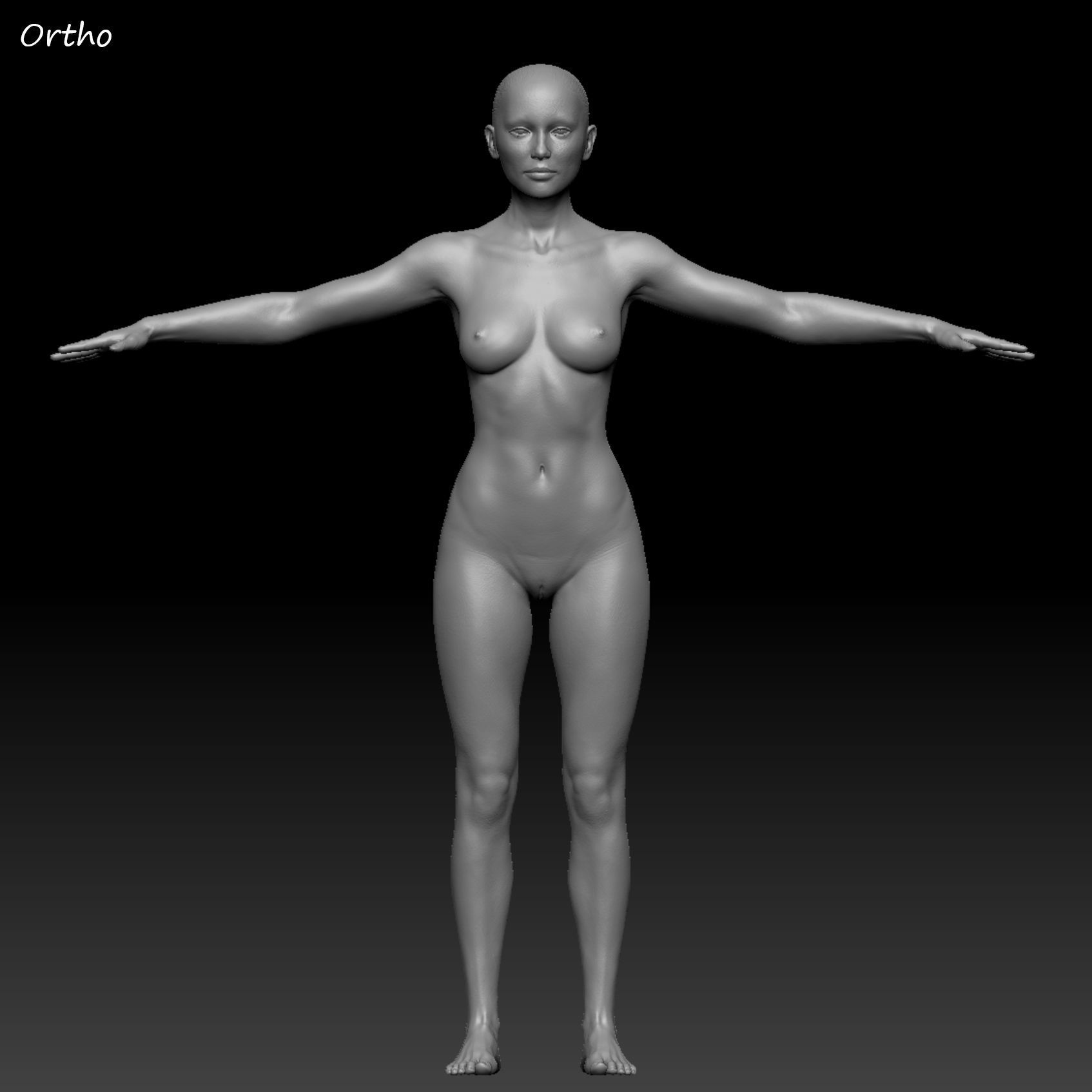 Realistic Woman - Female Body - Ultra High Detail Zbrush Sculpt 3D model_34
