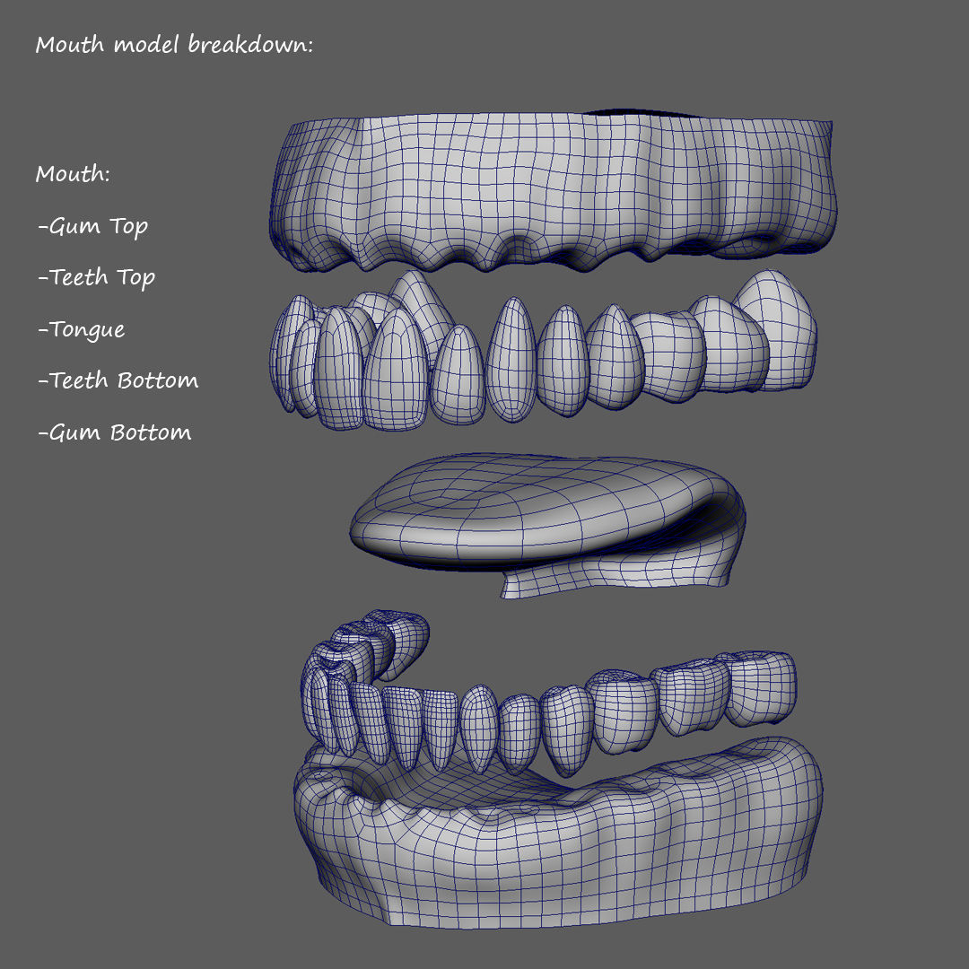 Realistic Woman - Female Body - Ultra High Detail Zbrush Sculpt 3D model_24