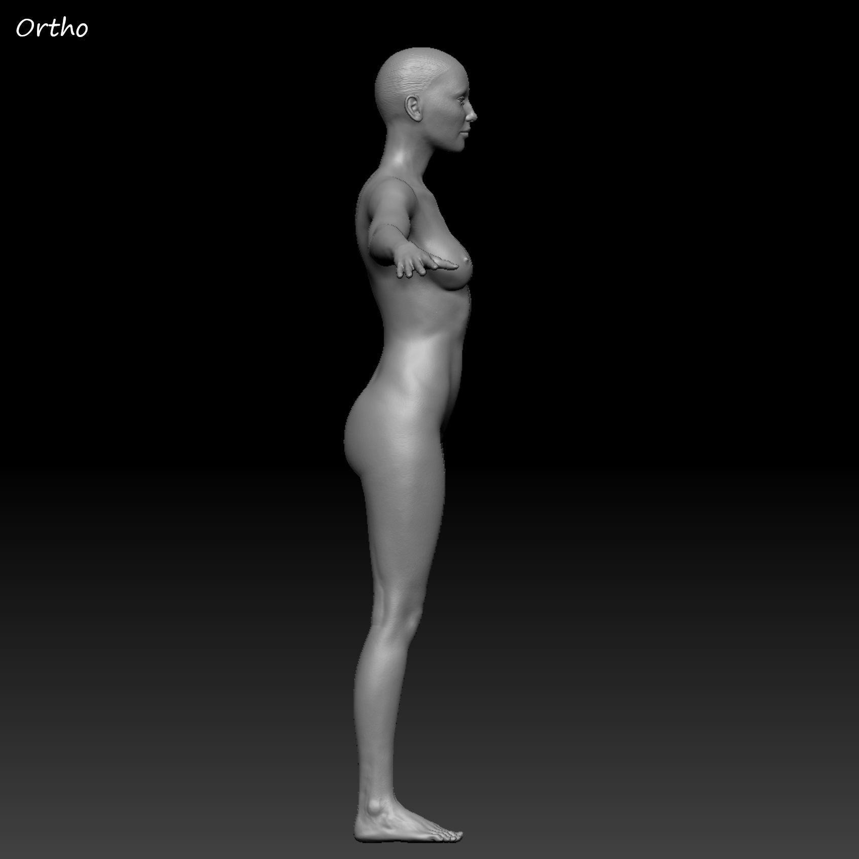 Realistic Woman - Female Body - Ultra High Detail Zbrush Sculpt 3D model_33
