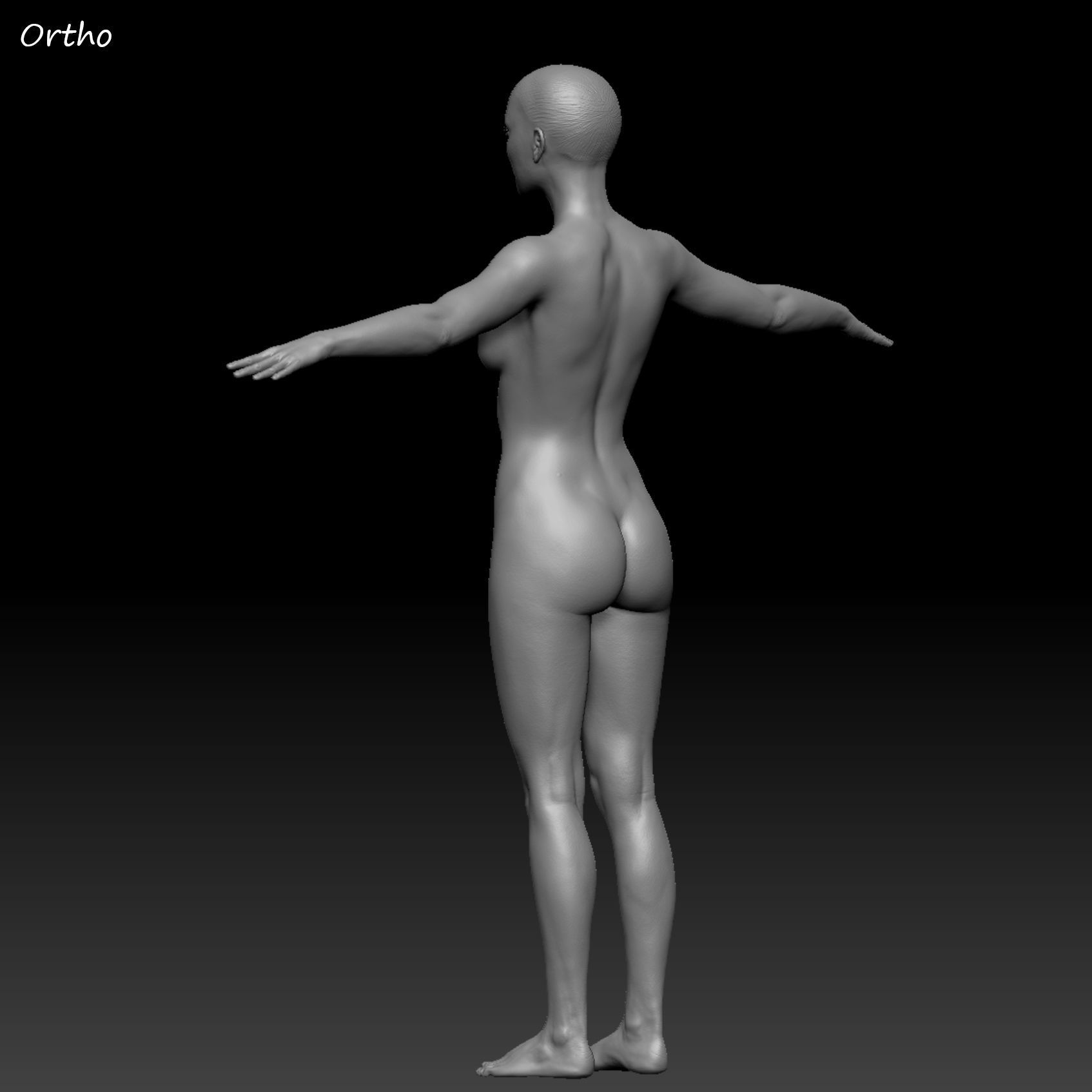 Realistic Woman - Female Body - Ultra High Detail Zbrush Sculpt 3D model_35