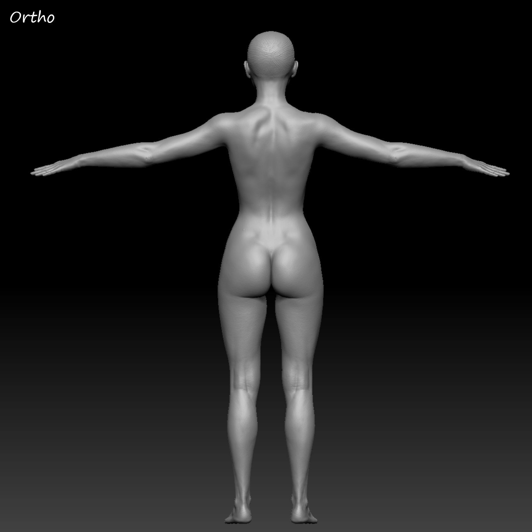 Realistic Woman - Female Body - Ultra High Detail Zbrush Sculpt 3D model_36