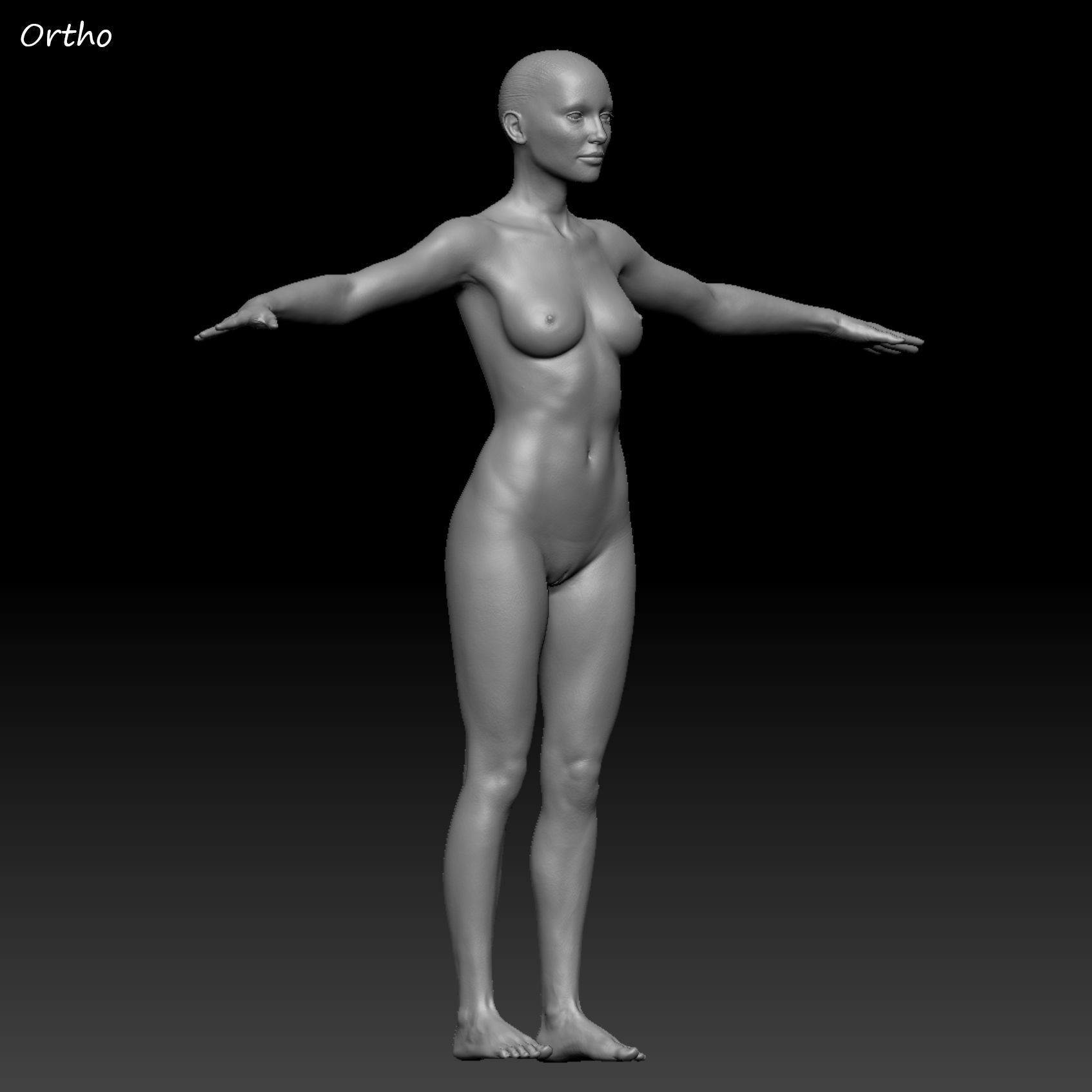 Realistic Woman - Female Body - Ultra High Detail Zbrush Sculpt 3D model_30