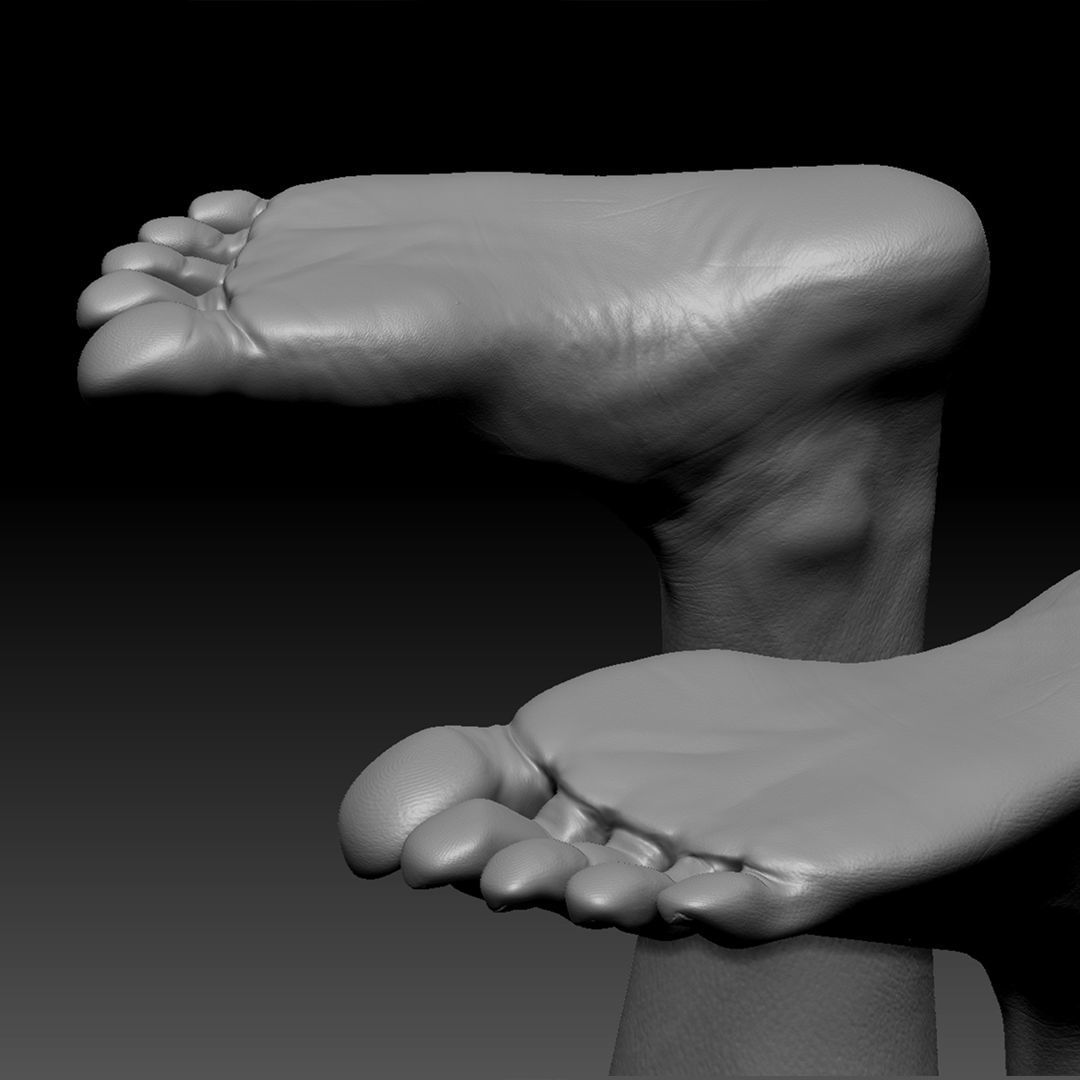 Realistic Woman - Female Body - Ultra High Detail Zbrush Sculpt 3D model_29