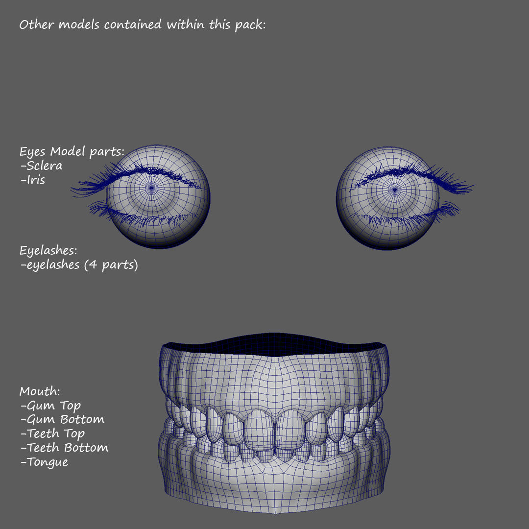 Realistic Woman - Female Body - Ultra High Detail Zbrush Sculpt 3D model_23