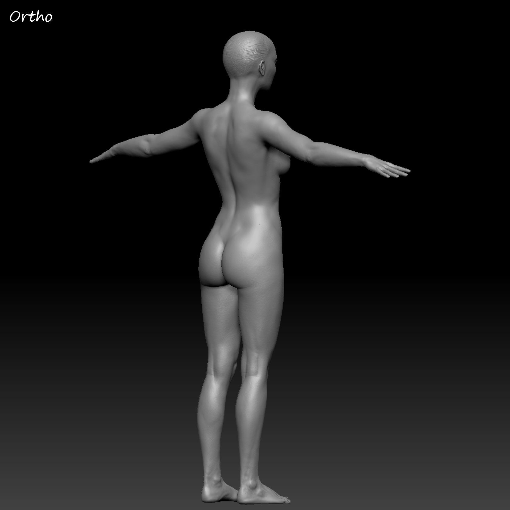 Realistic Woman - Female Body - Ultra High Detail Zbrush Sculpt 3D model_37