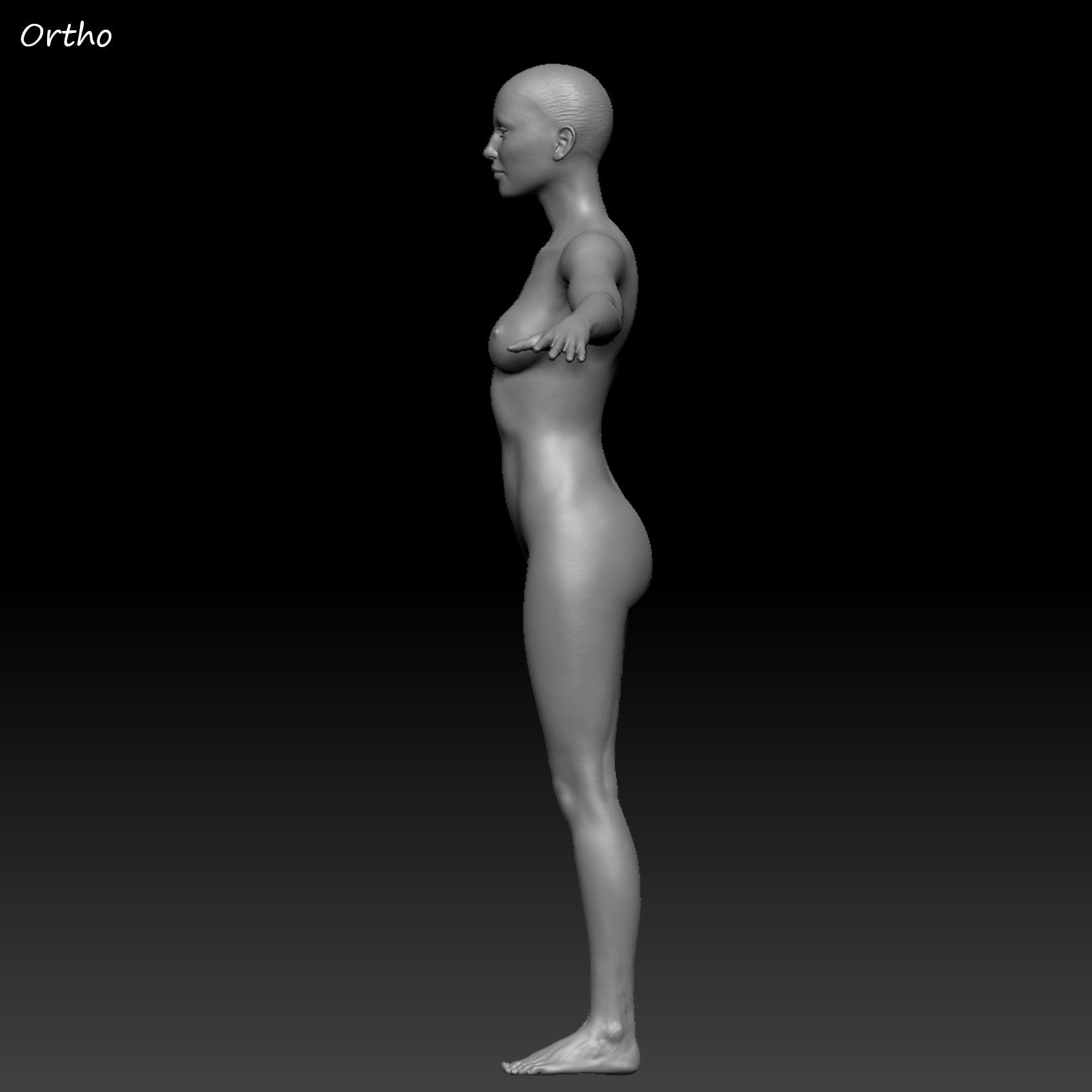 Realistic Woman - Female Body - Ultra High Detail Zbrush Sculpt 3D model_32