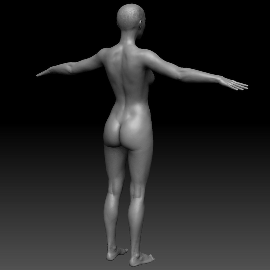 Realistic Woman - Female Body - Ultra High Detail Zbrush Sculpt 3D model_3
