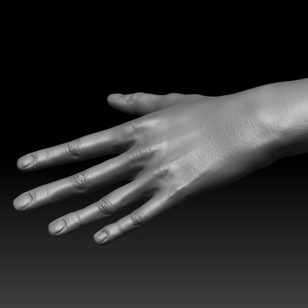 Realistic Woman - Female Body - Ultra High Detail Zbrush Sculpt 3D model_15