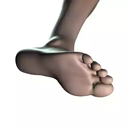 Female Foot 002