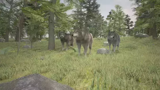 3D forest wolfs rigged 3D model