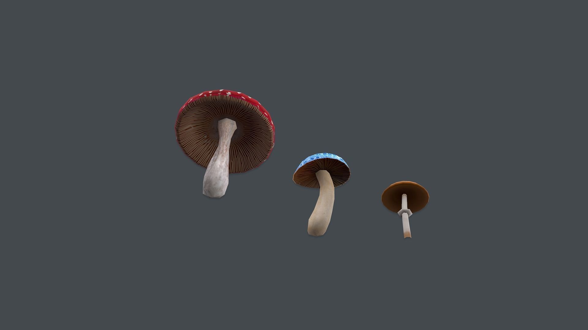 Farm Pack Hand Painted Low-poly 3D model_42