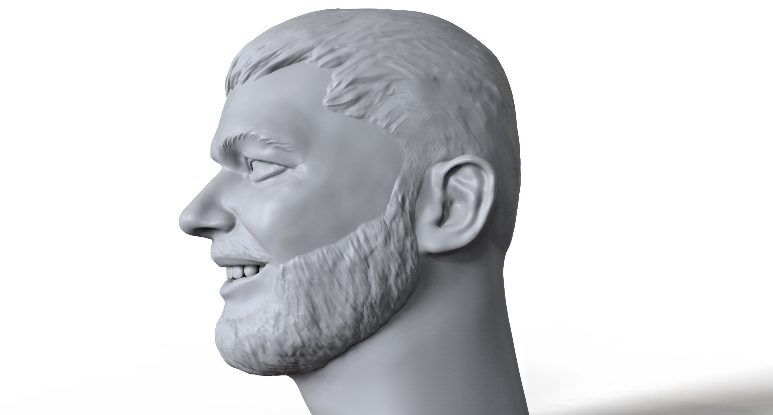 Lor Din 3D printable portrait sculpt 3D print model_2