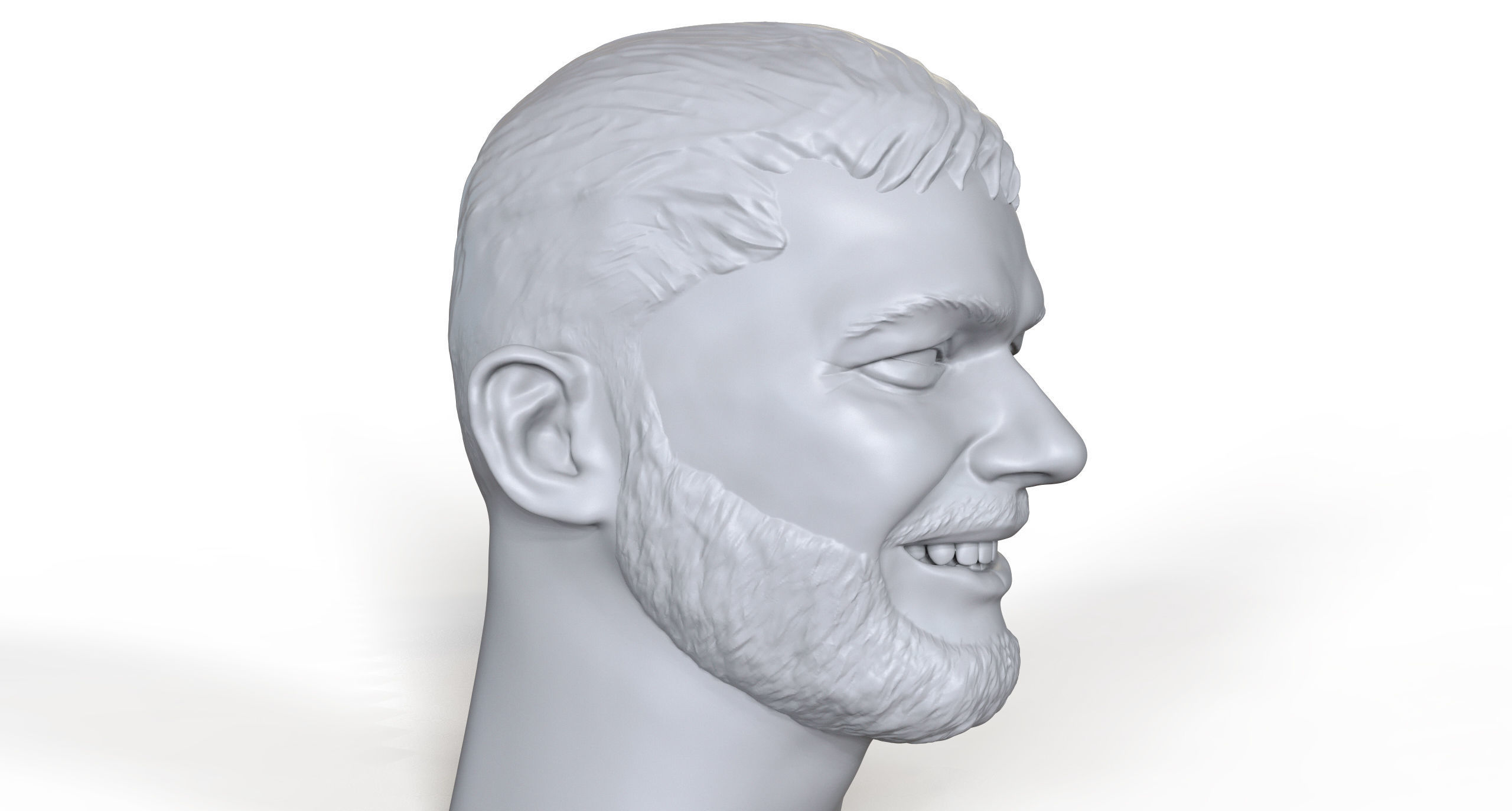 Lor Din 3D printable portrait sculpt 3D print model_6