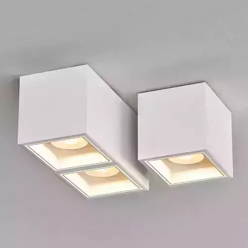 Ceiling Lamps CENTRSVET 15