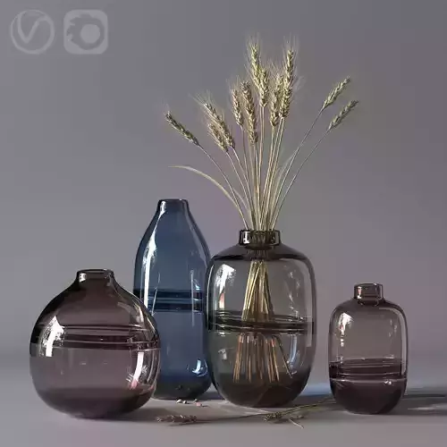 Minimalist Clear Glass Vase