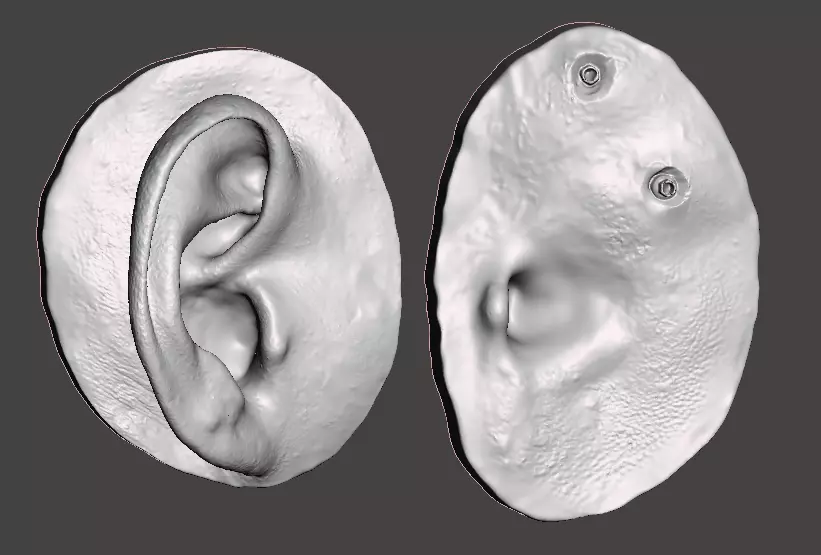 Natural human ear anatomy for attachment retained prosthesis 3D print model_0