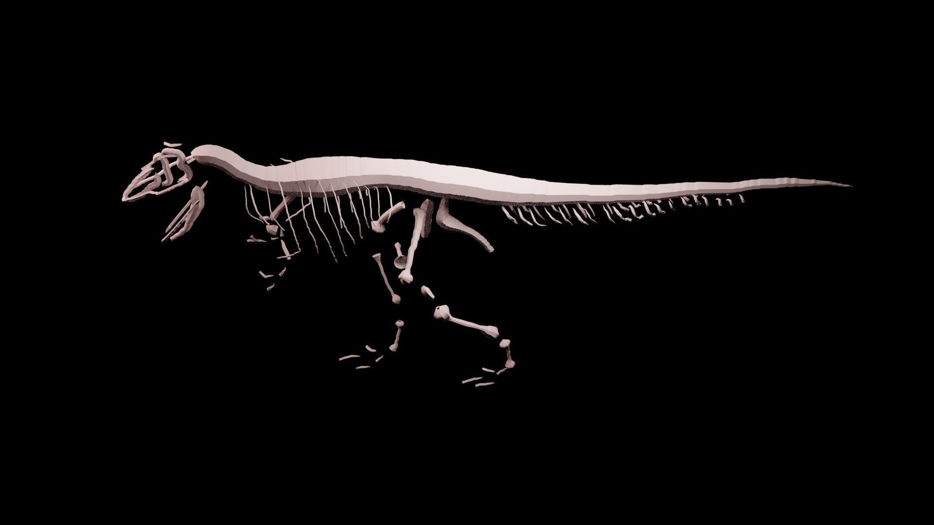 Stylisez T-Rex Skeleton Low-poly 3D model_22