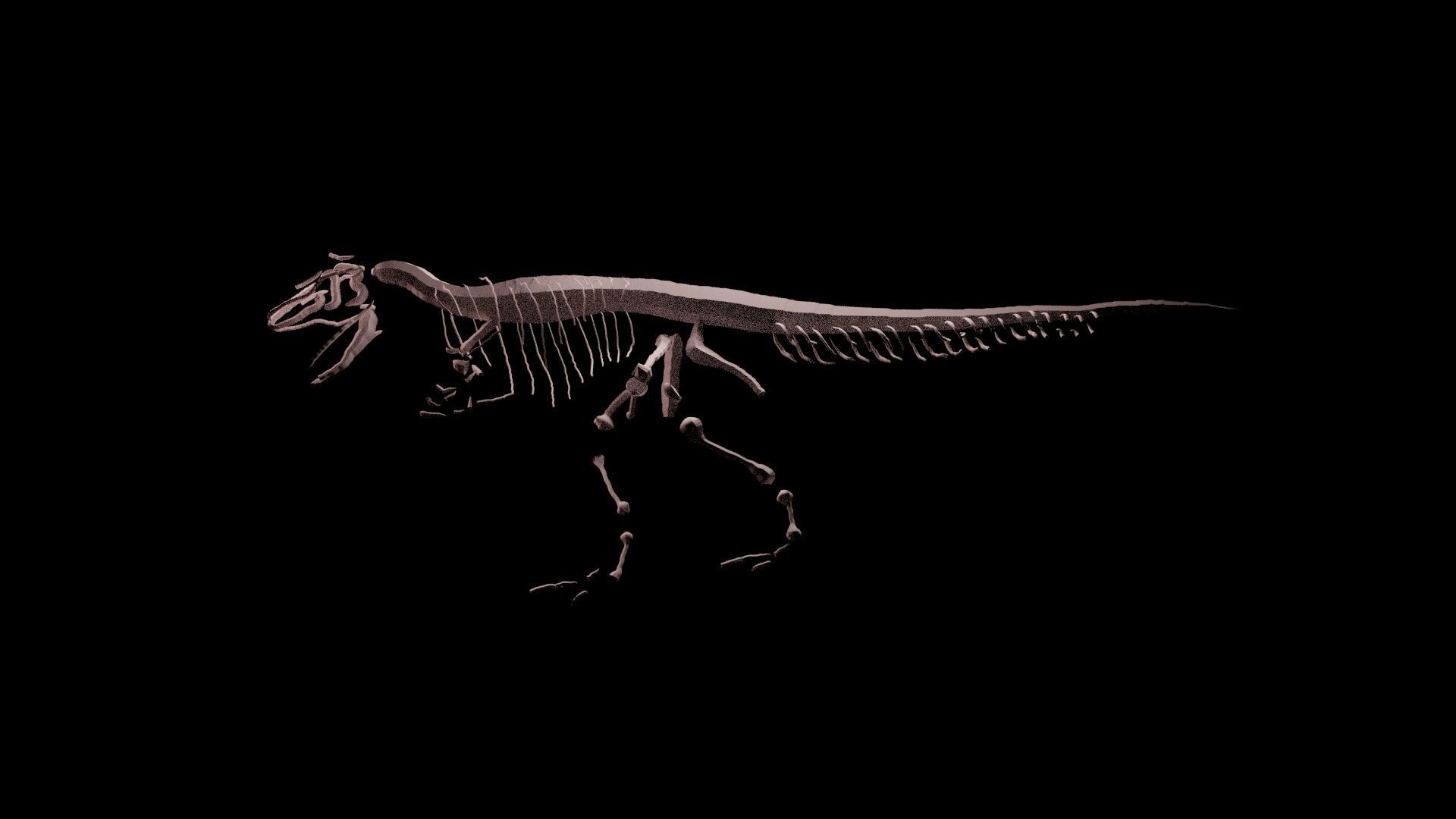 Stylisez T-Rex Skeleton Low-poly 3D model_26