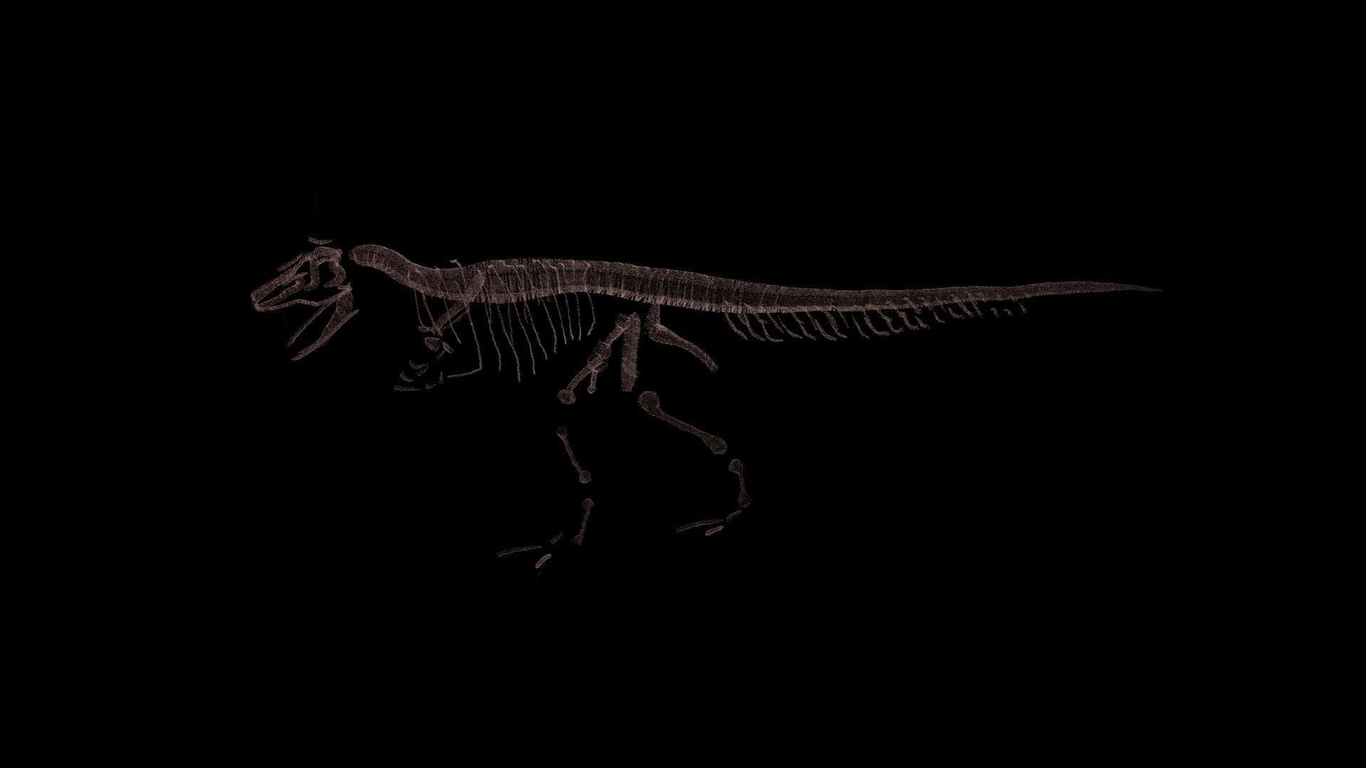 Stylisez T-Rex Skeleton Low-poly 3D model_12