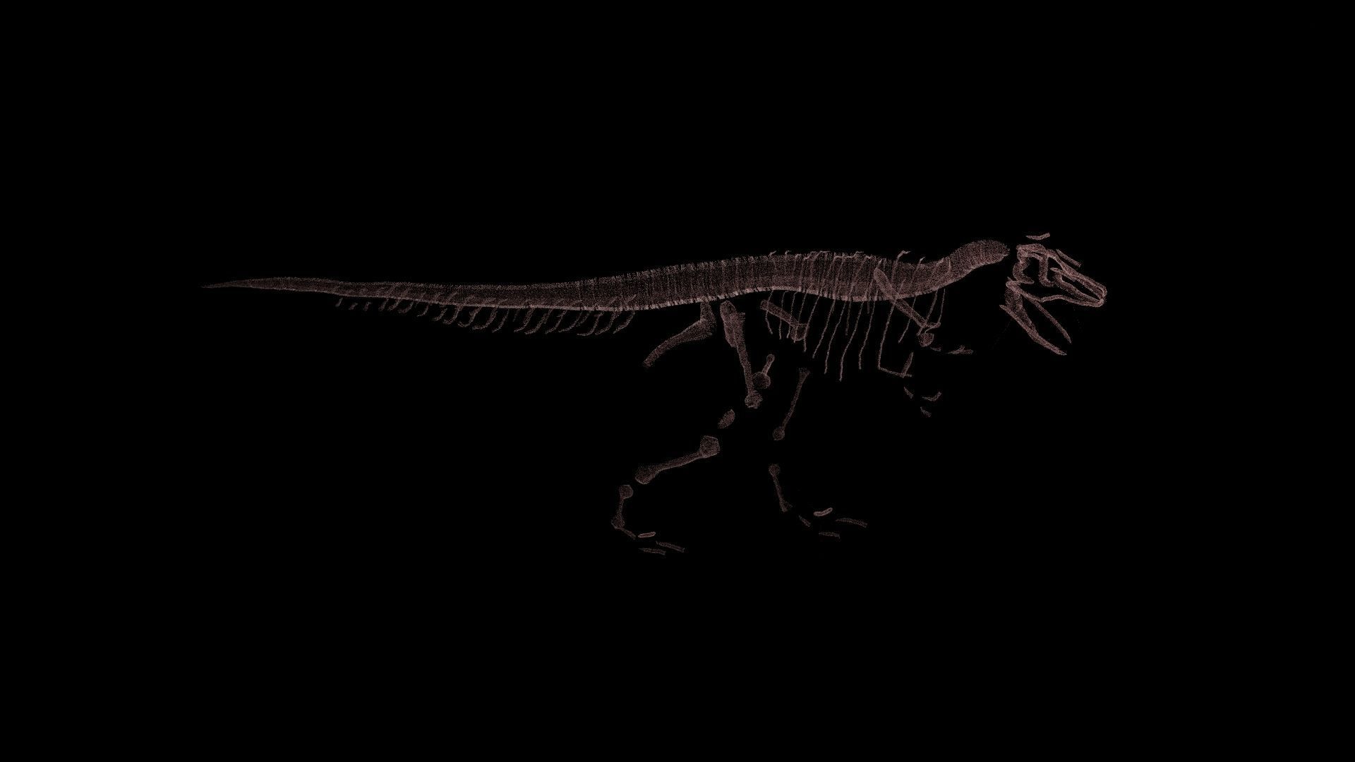 Stylisez T-Rex Skeleton Low-poly 3D model_13