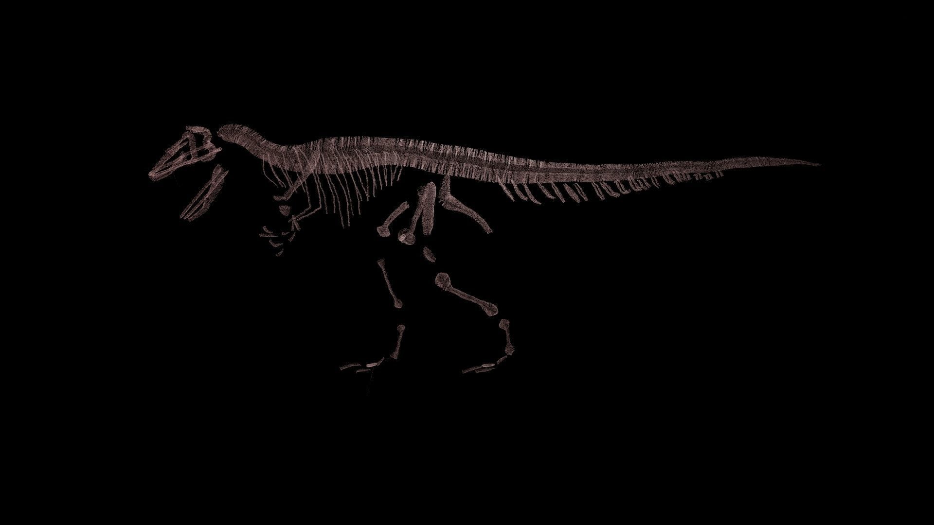 Stylisez T-Rex Skeleton Low-poly 3D model_5