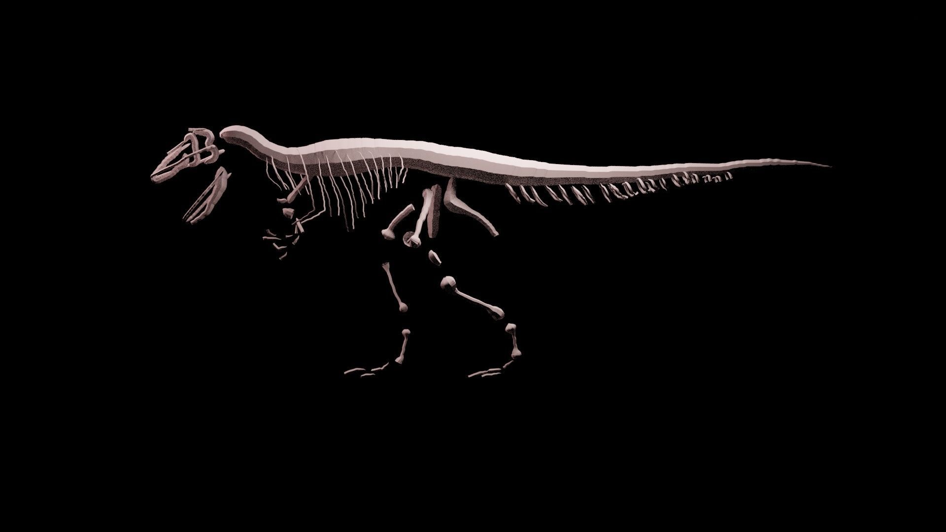 Stylisez T-Rex Skeleton Low-poly 3D model_19