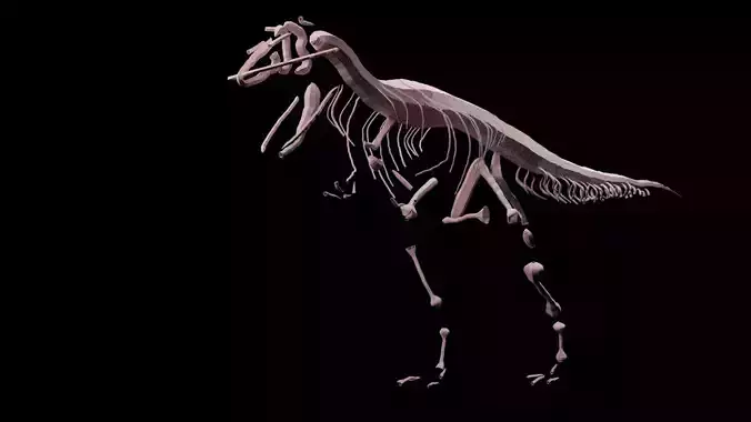 Stylisez T-Rex Skeleton