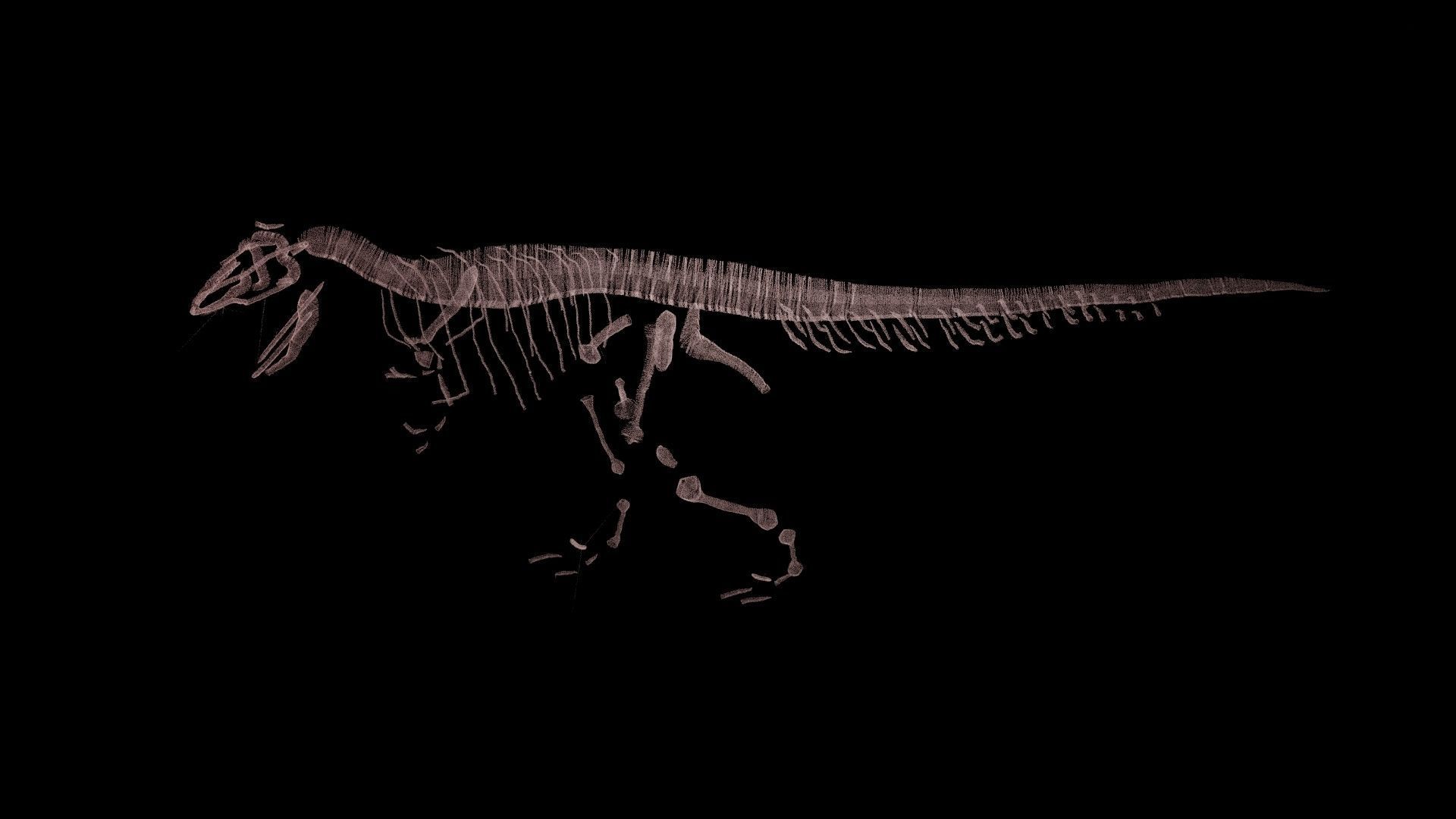 Stylisez T-Rex Skeleton Low-poly 3D model_8