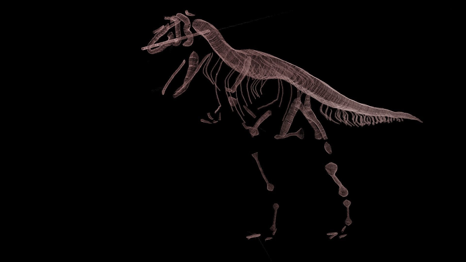 Stylisez T-Rex Skeleton Low-poly 3D model_14