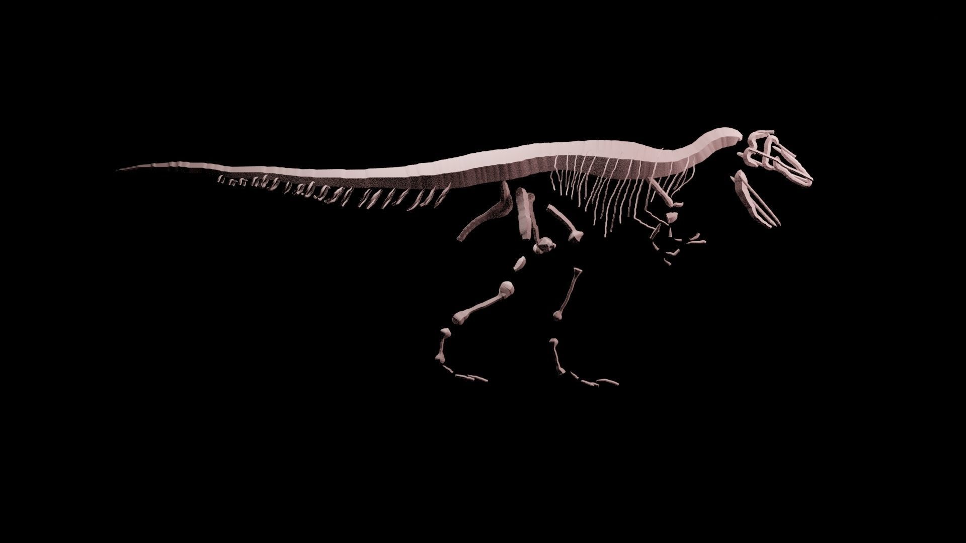 Stylisez T-Rex Skeleton Low-poly 3D model_18