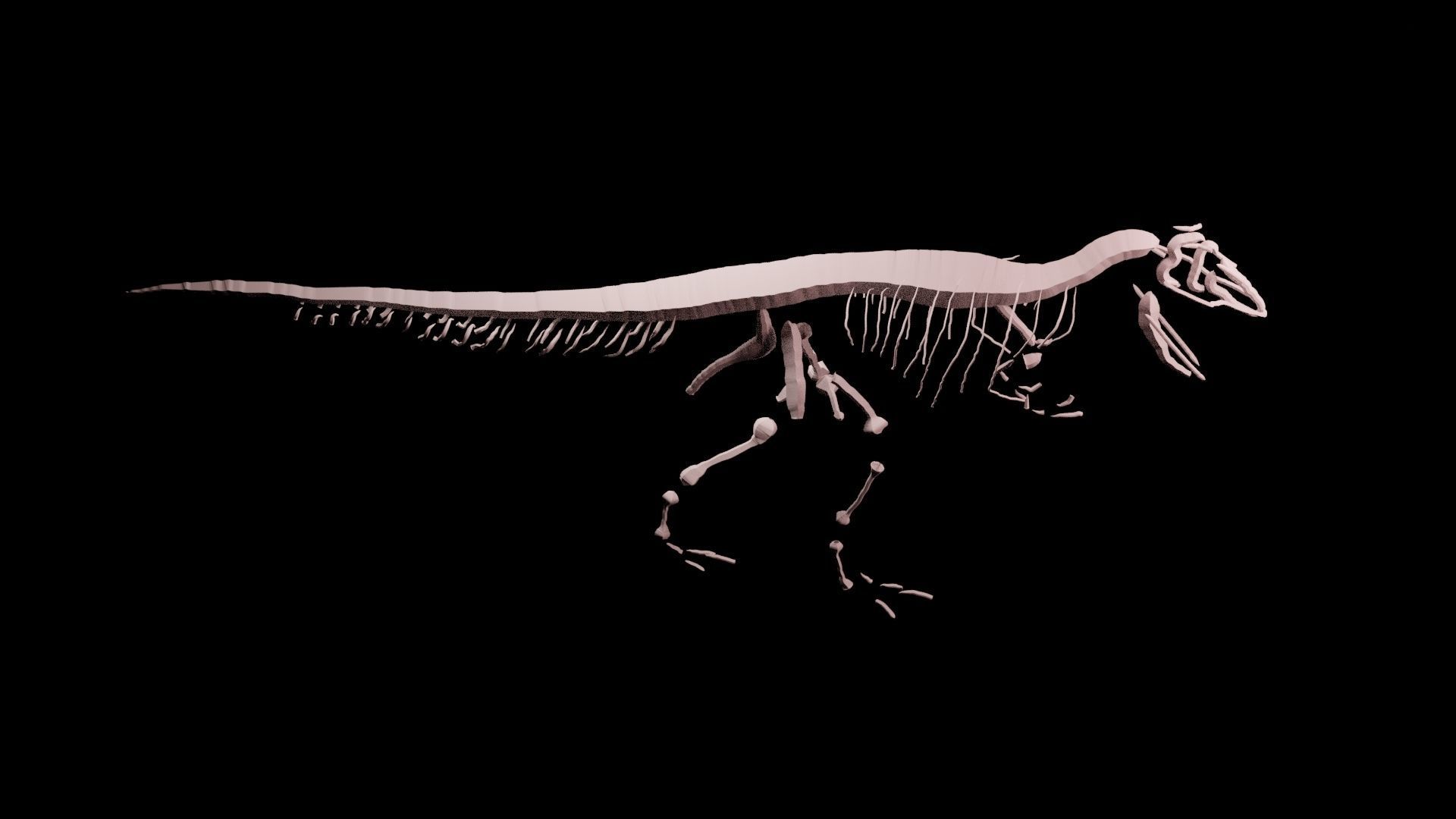 Stylisez T-Rex Skeleton Low-poly 3D model_23