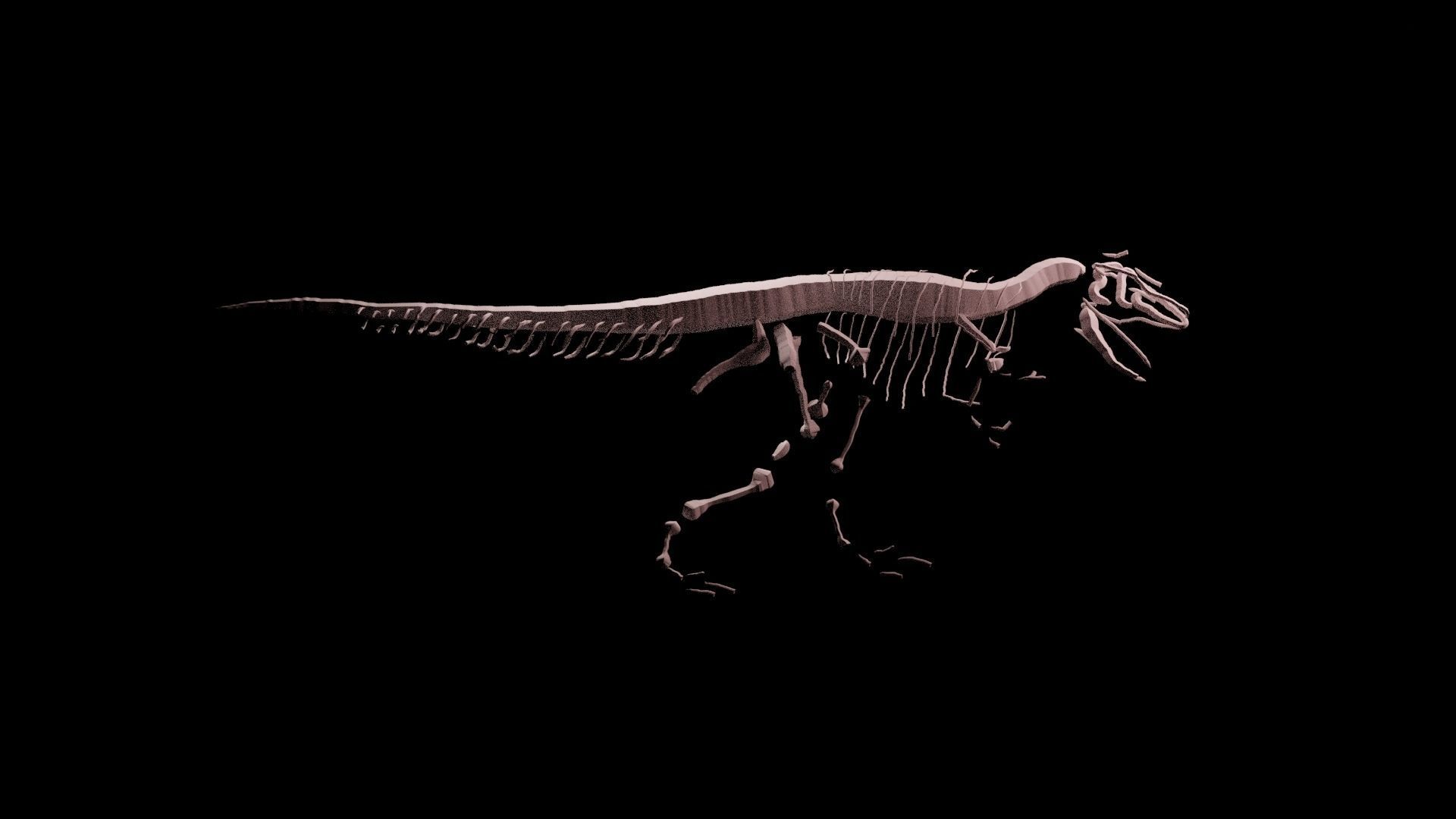 Stylisez T-Rex Skeleton Low-poly 3D model_27